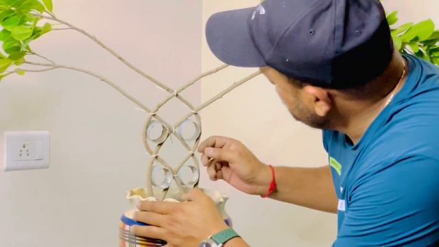 Ficus cage plant bonsai | Ficus plant grill design | only rs 200 смотреть онлайн