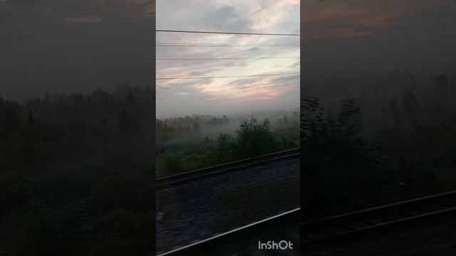 Туман 🌫️ смотреть онлайн