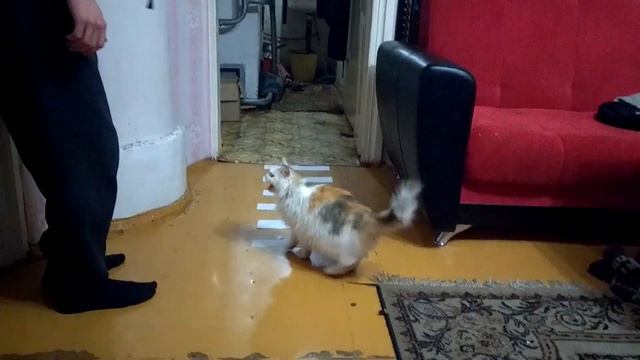 ПОДАРИ БАБУШКЕ АНТИХАЙП (CHELLENGE) / ЧЕЛЕНДЖ ОТ СЛАВЫ КПСС / ТИМУРОВЕЦ / ПОМОГАЕМ БАБУШКЕ смотреть онлайн