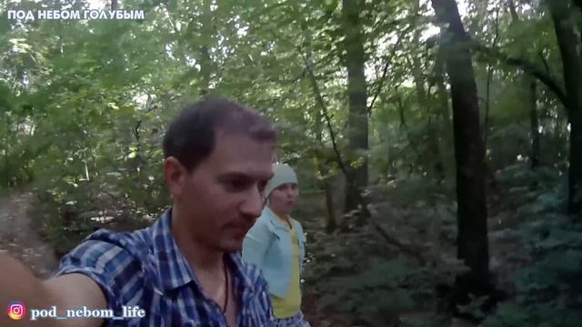 Красивые места // Собираем землянику // Купили сетку смотреть онлайн