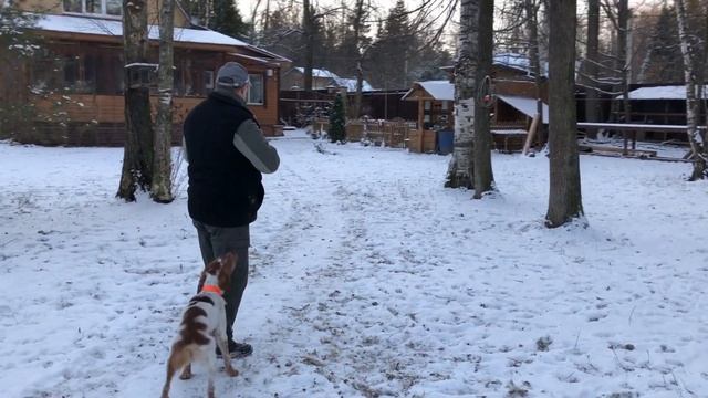 Бретоны. Подзыв по свистку. Серия 2. смотреть онлайн