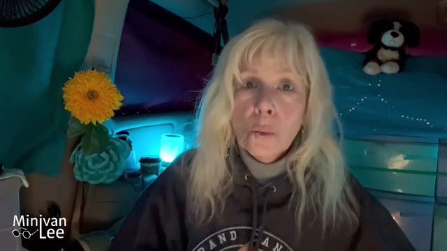 Would My Late Husband Enjoy Van Life if He Were Alive? (Plus flooring, bug out bags, clothes)) смотреть онлайн