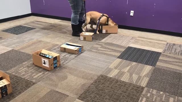 Solaris 11/19/18 смотреть онлайн