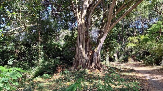 Убиенный священник Даниил Сысоев и уроки миссонерства. смотреть онлайн