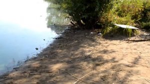 Асаково Одинцовский район рыбалка
