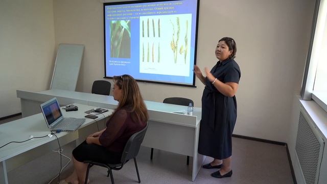 Модернизация кормовых культур для повышения молочной и мясной продуктивности КРС на юге РК смотреть онлайн