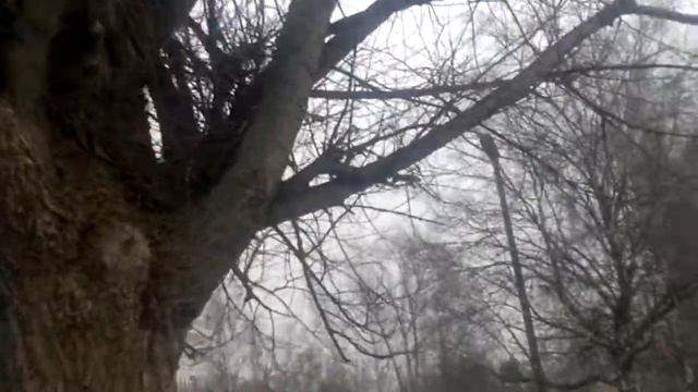 вч 61608 ..... смотреть онлайн