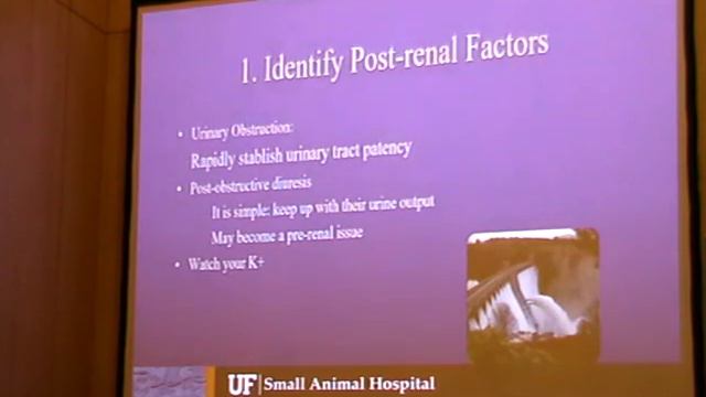нвс нефролог 1 смотреть онлайн