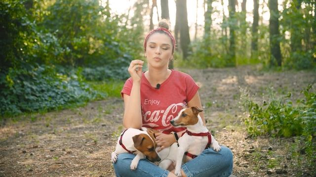 У СОБАКИ ТЕПЛОВОЙ УДАР - СИМПТОМЫ И ПЕРВАЯ ПОМОЩЬ | УХОД ЗА СОБАКОЙ В ЖАРКОЕ ВРЕМЯ ГОДА смотреть онлайн