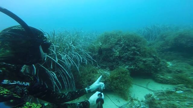 Что если фридайвинг ? Сицилия. смотреть онлайн