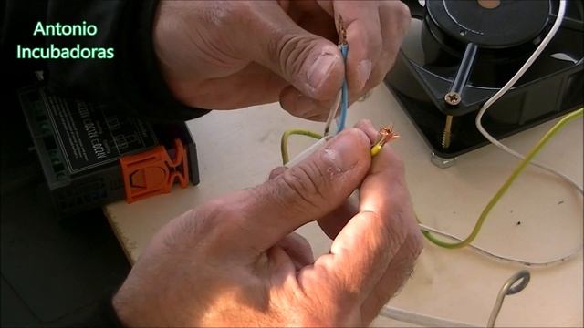 Cómo hacer una incubadora de huevos casera. смотреть онлайн