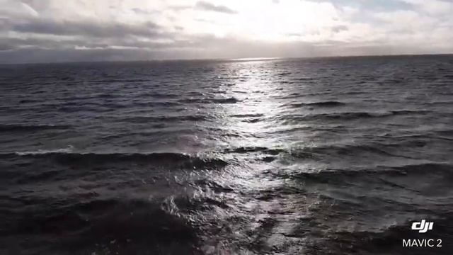 дом мечта смотреть онлайн