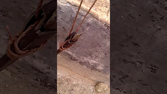 Самодельный нож для похода , рыбалки , выживания . смотреть онлайн