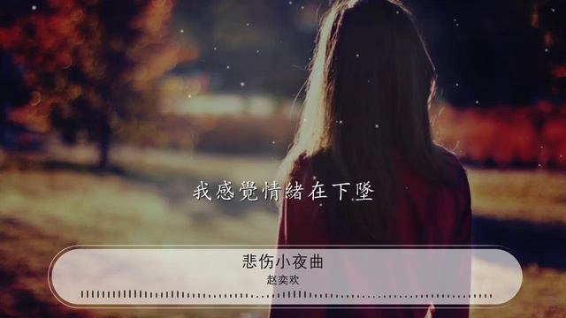 悲傷小夜曲 - 趙奕歡『我要減肥 有點頹廢』【動態歌詞Lyrics】 смотреть онлайн