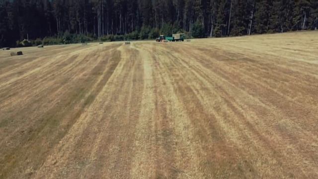FIRMA WINKEL 2022 смотреть онлайн