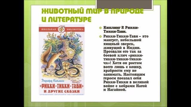 Животный мир в природе и литературе смотреть онлайн