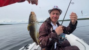 Рыбалка на треску и зубатку в губе Чупа, Кандалакшский залив