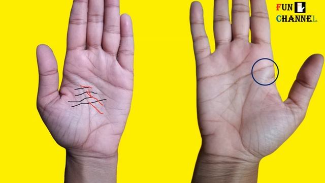 Poor Lines And Poverty Signs In Your Hands?-Palmistry