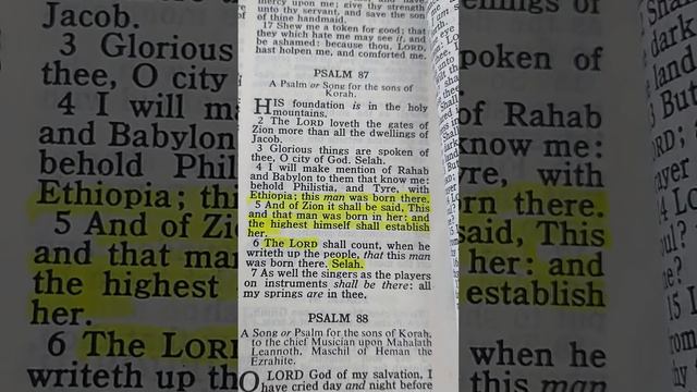 STAR WITNESSED pt14. Christ birth certificate (1) смотреть онлайн