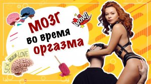 Что происходит в мозге во время оргазма 18+