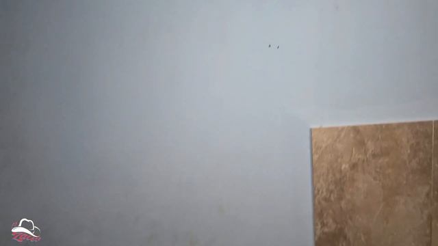 MI CASA VIVIENDO EN CUBA. Les muestro cómo vivo en el Campo. Desventajas de vivir en Cuba. Realidad смотреть онлайн