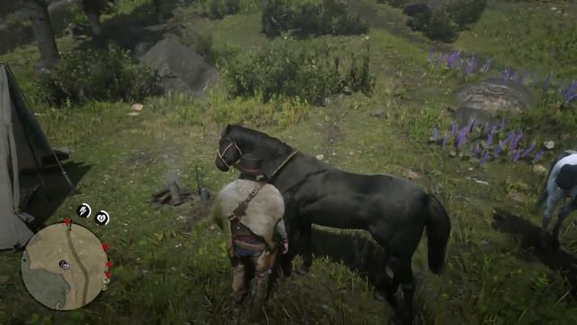 BMWNETWORK RDR2 #21 охота и рыбалка продолжаем смотреть онлайн