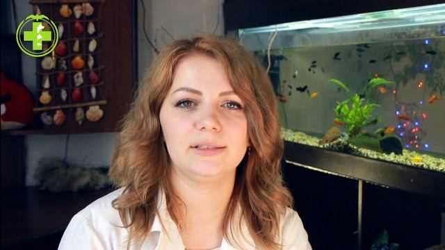 Поездки С Собаками & Поездка С Собакой На Дачу. Ветклиника Био-Вет смотреть онлайн