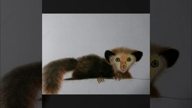 For children. How to draw.Lemur/Для детей.Как нарисовать.Лемур руконожка Ай -Ай смотреть онлайн