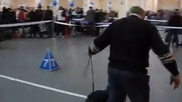 junior1402 смотреть онлайн