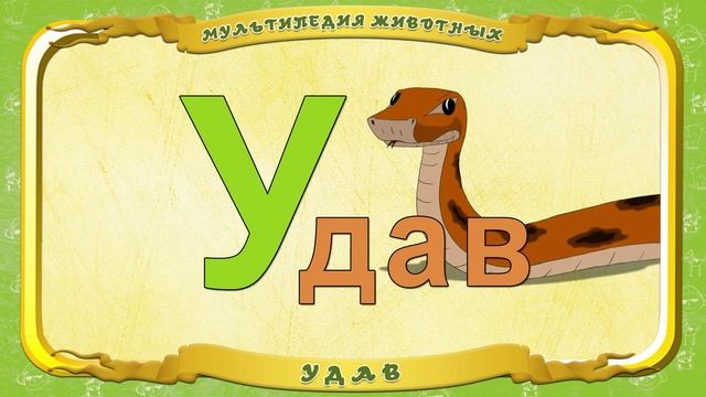 Мультипедия животных. Буква У - Удав смотреть онлайн