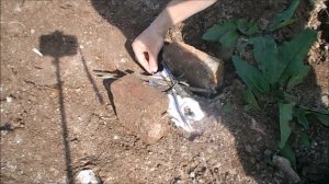 ШУРФ ДОМОВОЙ ЯМЫ, КОПАЕМ ВГЛУБЬ!!! №56