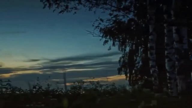 Как выглядит нос после ринопластики — Статья смотреть онлайн