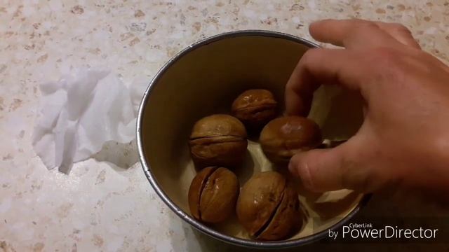 #Проращивание_грецкого_ореха. Садим в северных широтах!