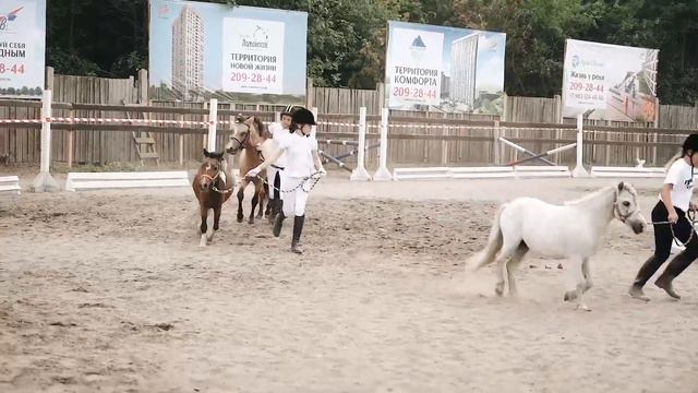 Сибирский фестиваль конного спорта и коннозаводства смотреть онлайн