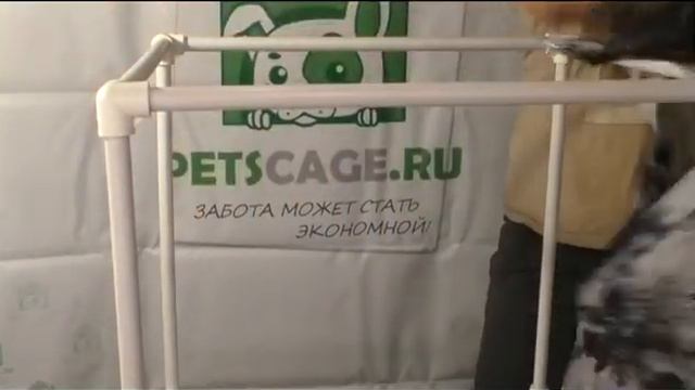 Выставочная палатка Ладиоли М-11 смотреть онлайн