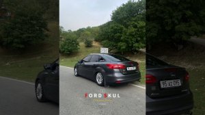 Хусейн Израпов - Розы