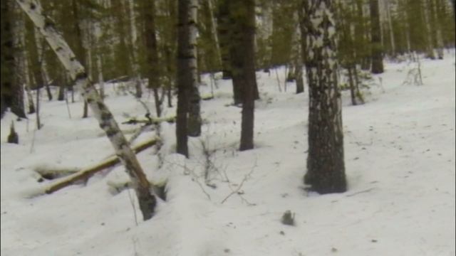 как видит охотник косуль. дистанция 85 метров смотреть онлайн