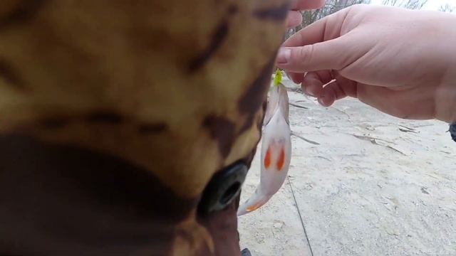 20.03.2021-Соревнования по хищнику Craizy Bait Esox Волгодонск смотреть онлайн