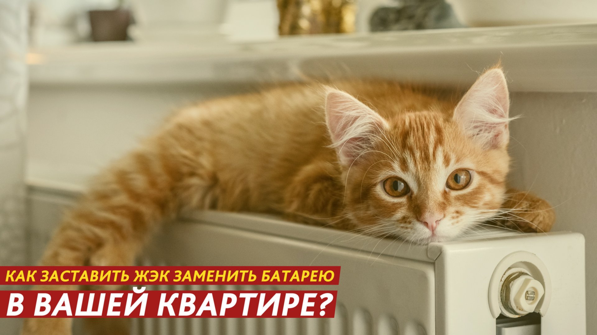 Как заставить ЖЭК заменить батарею в вашей квартире? смотреть онлайн