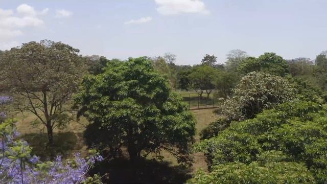 Танзания / Tanzania Вольеры для льва Симбы и леопарда Евы! #симбаживи смотреть онлайн