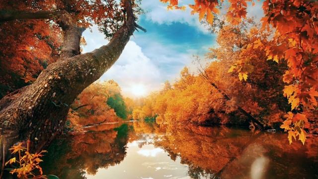 Классическая музыка для учебы и развития мозга у детей / Classical Music For Studying & Brain Power