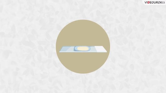 Биология – наука о живой природе смотреть онлайн