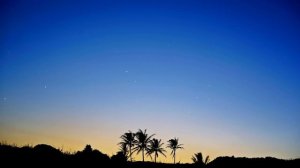 SHOUSE - Won't Forget You (Lyrics)