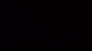 живот урчит