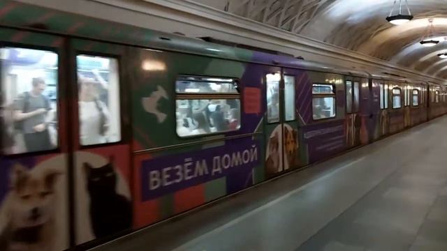 Тематический поезд "Везем домой" смотреть онлайн
