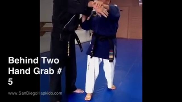 Hapkido Defense - Behind Two Hand Grab Defense