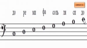 Ноты басового ключа. Как читать ноты в басовом ключе? Урок 8