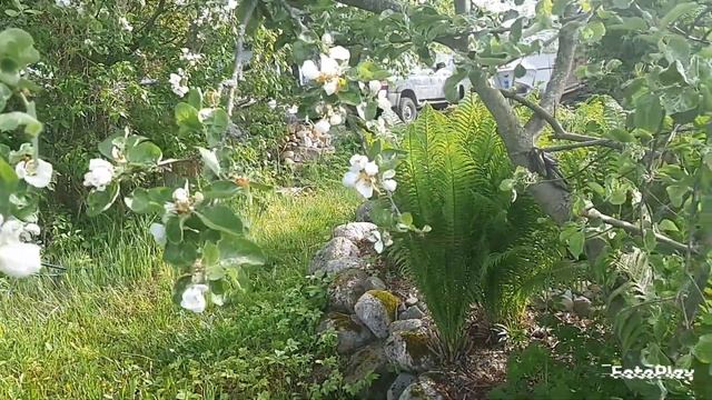 Моя клумба смотреть онлайн