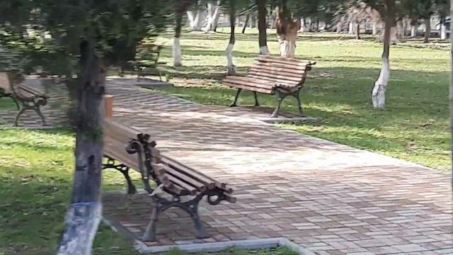 ЖИЛЬЁ У МОРЯ ОТДЫХ В АБХАЗИИ ПУТЕШЕСТВИЯ ЭКСКУРСИИ КУРОРТ ЦАНДРЫПШ ВЕСНА 2022