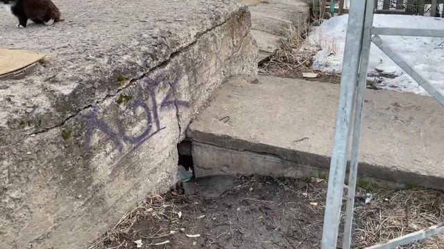 719/ Идём ругаемся! Навестили, накормили! смотреть онлайн